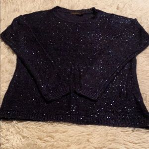 Tonal lightweight navy sequin accented sweater
